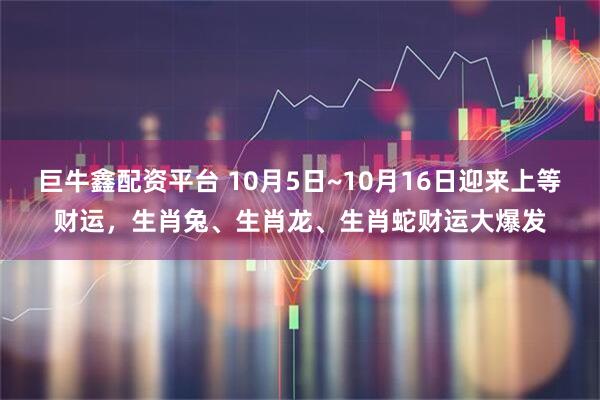 巨牛鑫配资平台 10月5日~10月16日迎来上等财运，生肖兔、生肖龙、生肖蛇财运大爆发