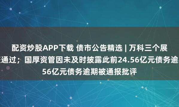 配资炒股APP下载 债市公告精选 | 万科三个展期议案均未获通过;国厚资管因未及时披露此前24.56亿元债务逾期被通报批评