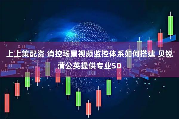 上上策配资 消控场景视频监控体系如何搭建 贝锐蒲公英提供专业SD